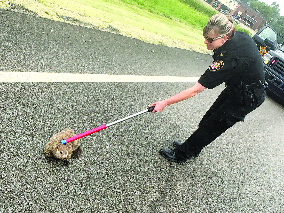 Washington County dog warden finds calling speaking for those who can’t